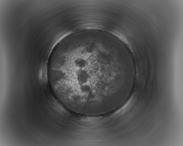 X0000088230782200705221823