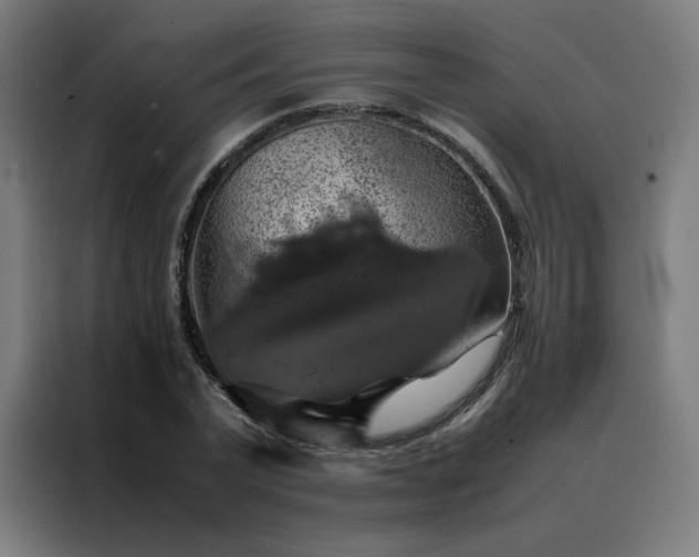 X0000088230783200705221823