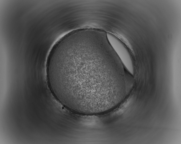 X0000088230784200705221823