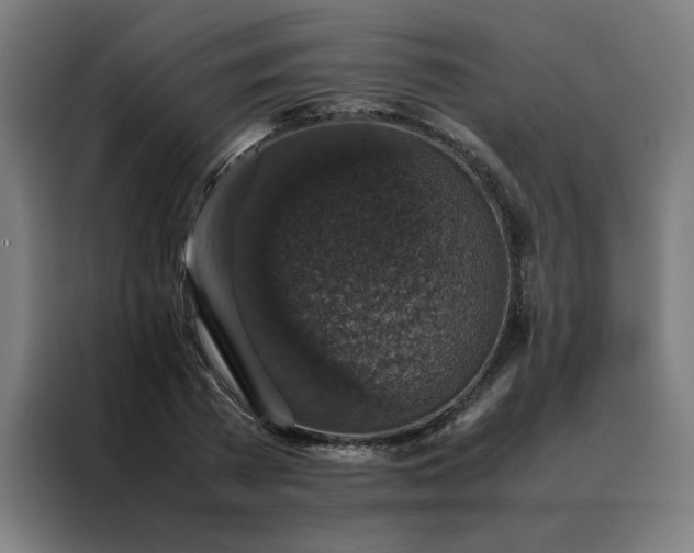 X0000088230785200705221823