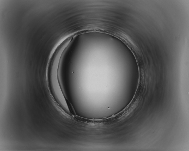 X0000088230788200705221823