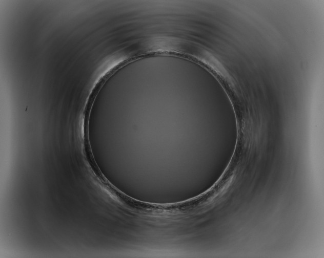 X0000088230790200705221823