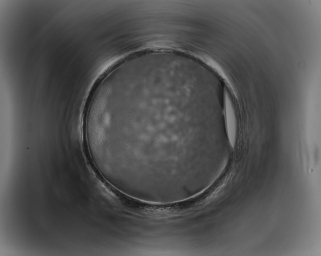 X0000088230791200705221823