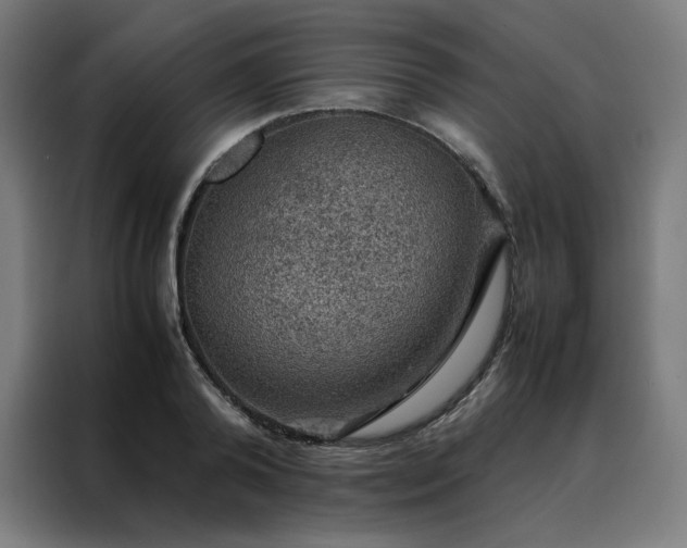 X0000088230792200705221823