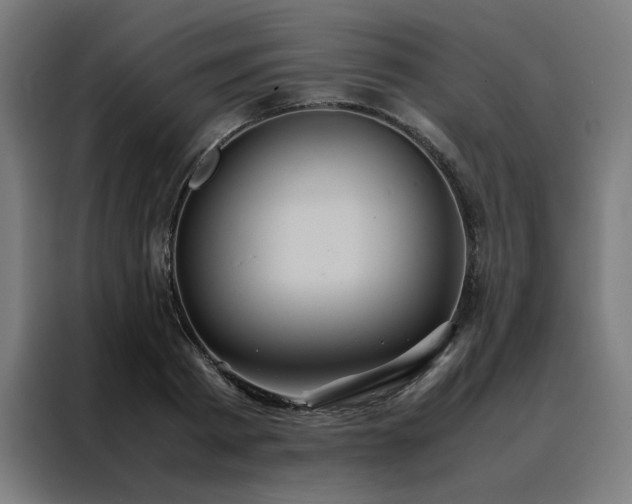 X0000088230793200705221823