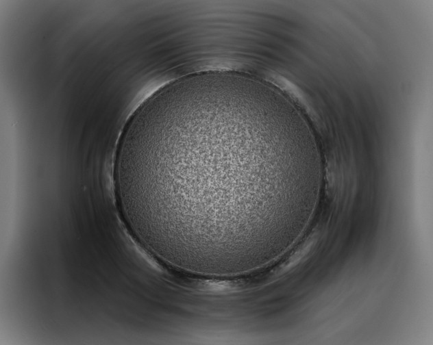 X0000088230794200705221823