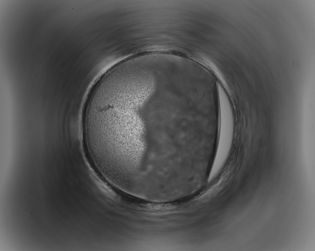 X0000088230795200705221823