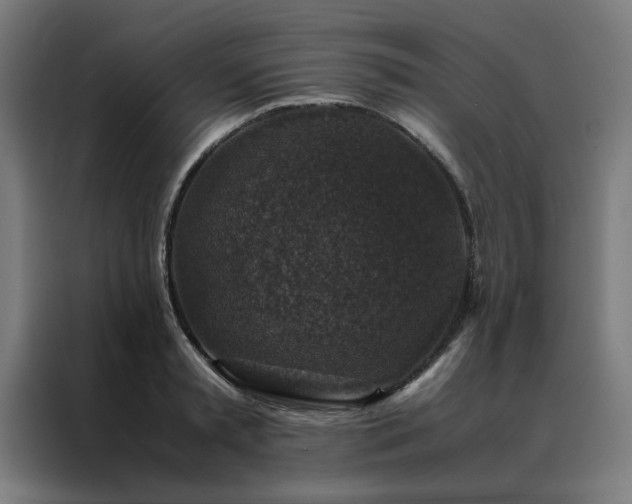 X0000088230797200705221823