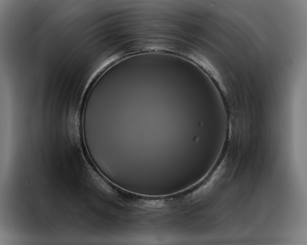 X0000088230798200705221823