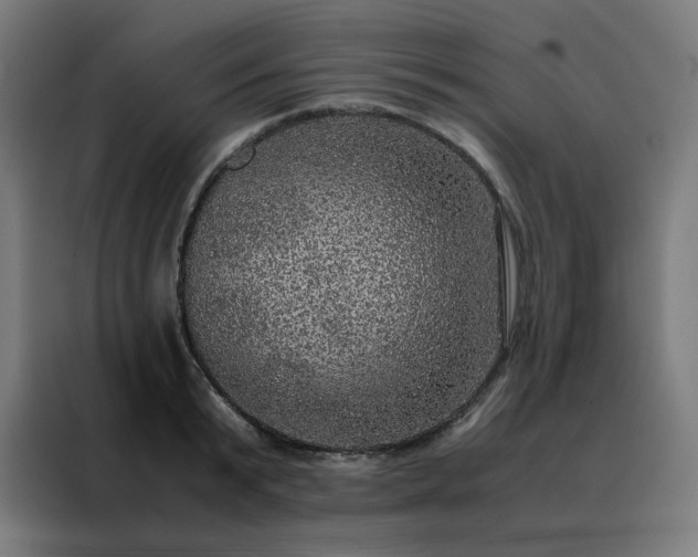 X0000088230799200705221823