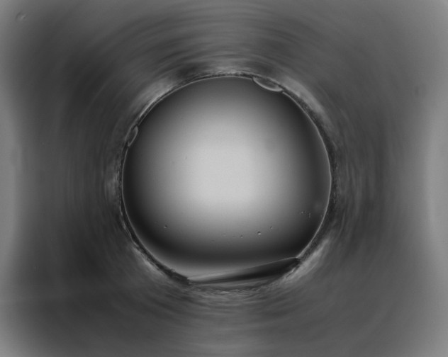 X0000088230801200705221823
