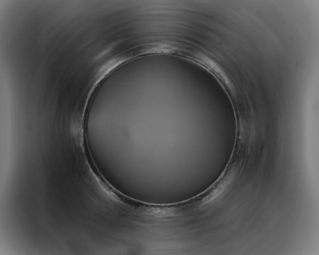 X0000088230802200705221823