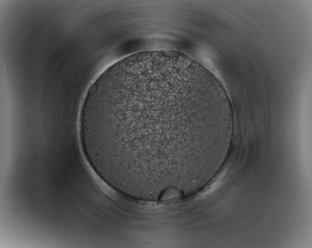 X0000088230803200705221823