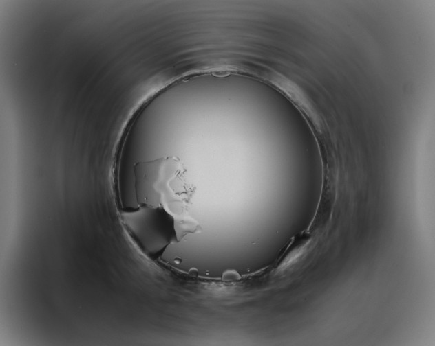 X0000088230805200705221823