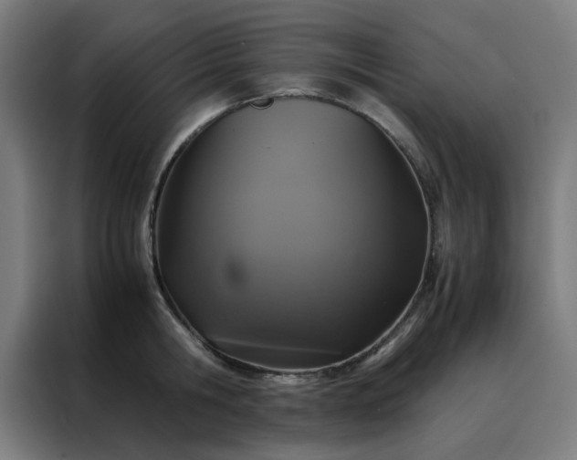X0000088230806200705221823