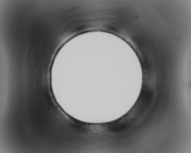 X0000088230807200705221823