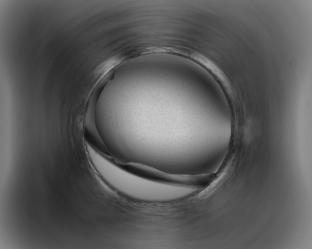 X0000088230809200705221823