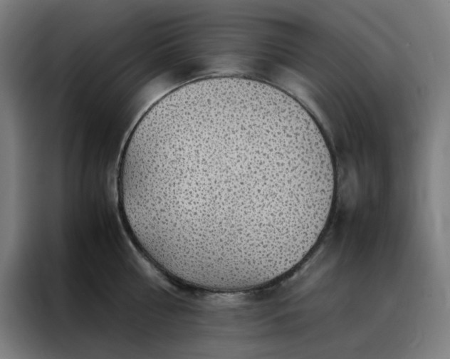 X0000088230810200705221823