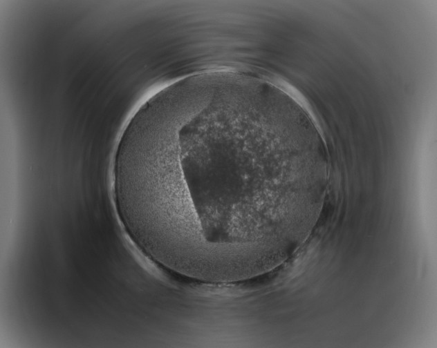X0000088230811200705221823
