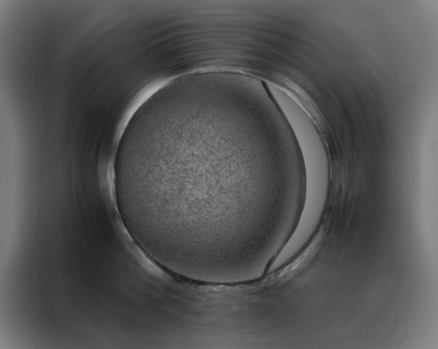 X0000088230812200705221823