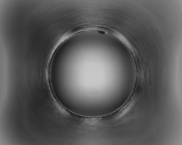 X0000088230813200705221823