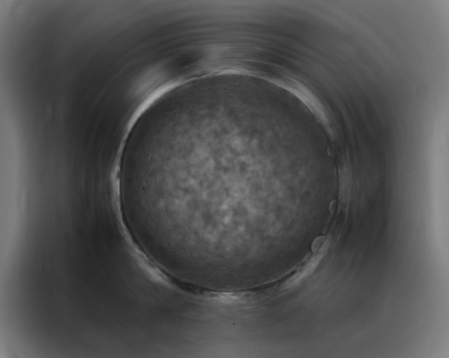 X0000088230814200705221823