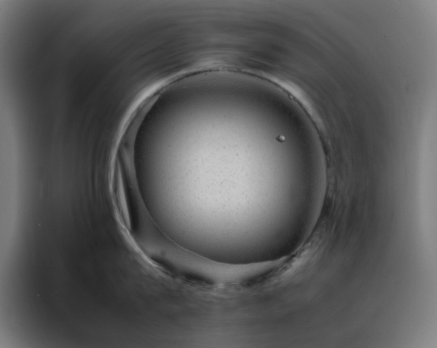 X0000088230815200705221823