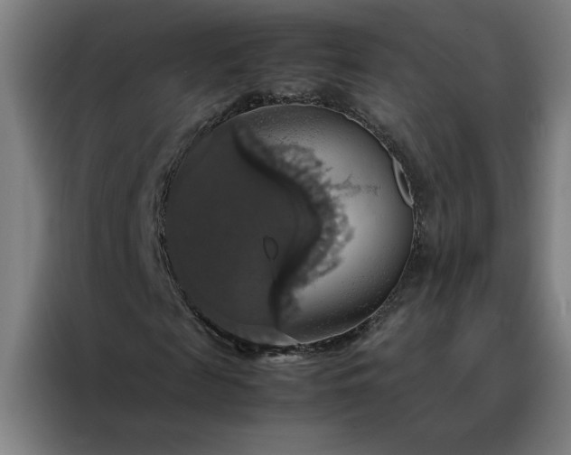 X0000088230817200705221822