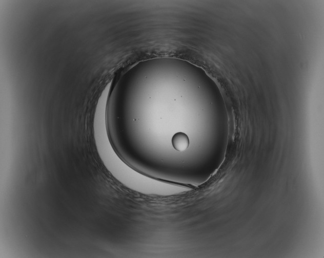 X0000088230818200705221822