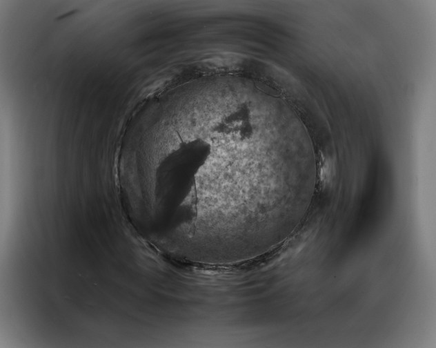 X0000088230819200705221822