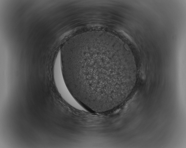 X0000088230821200705221822