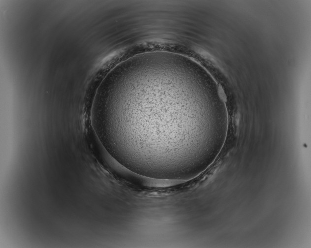 X0000088230822200705221822