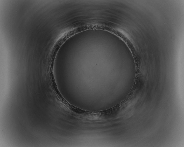 X0000088230823200705221822