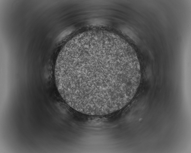 X0000088230824200705221822