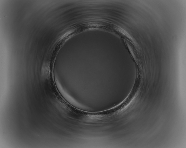 X0000088230825200705221822