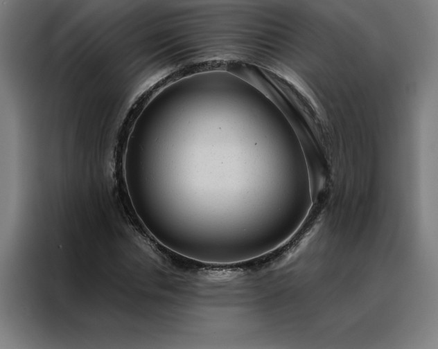 X0000088230826200705221822