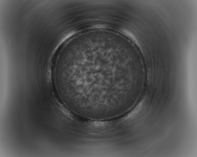 X0000088230827200705221822
