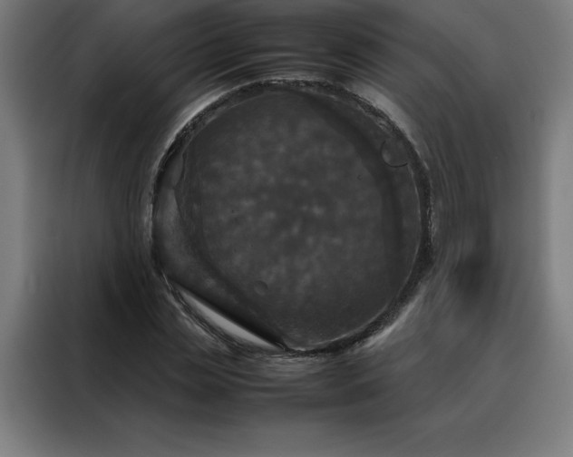 X0000088230829200705221822