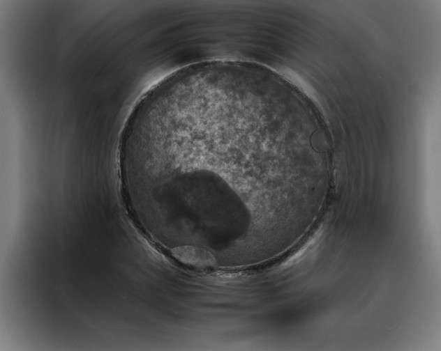 X0000088230831200705221822