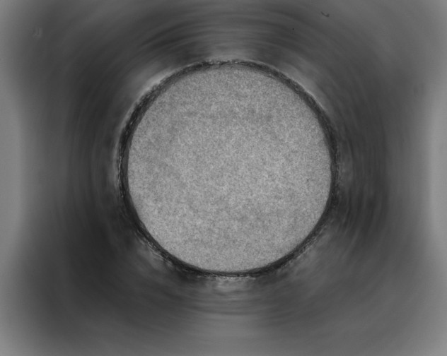 X0000088230832200705221822