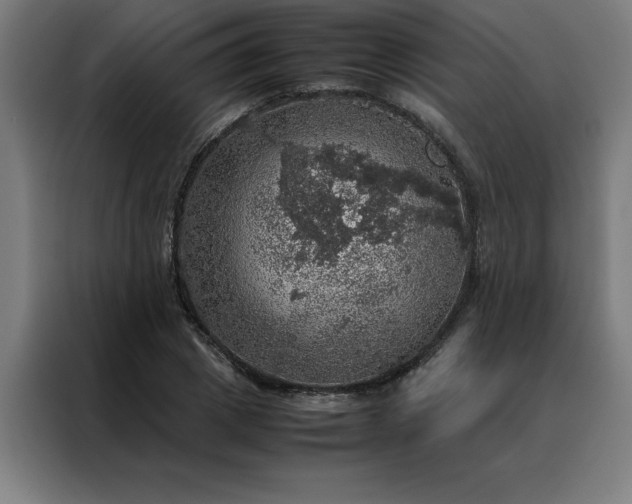 X0000088230833200705221823