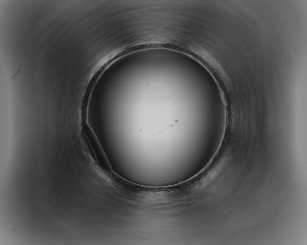X0000088230834200705221823