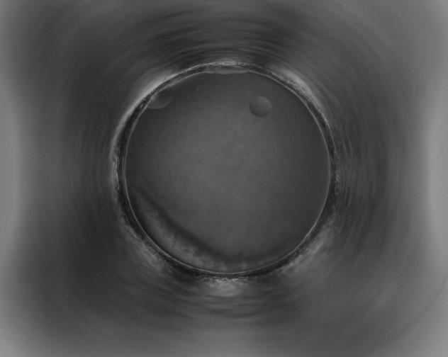 X0000088230835200705221823