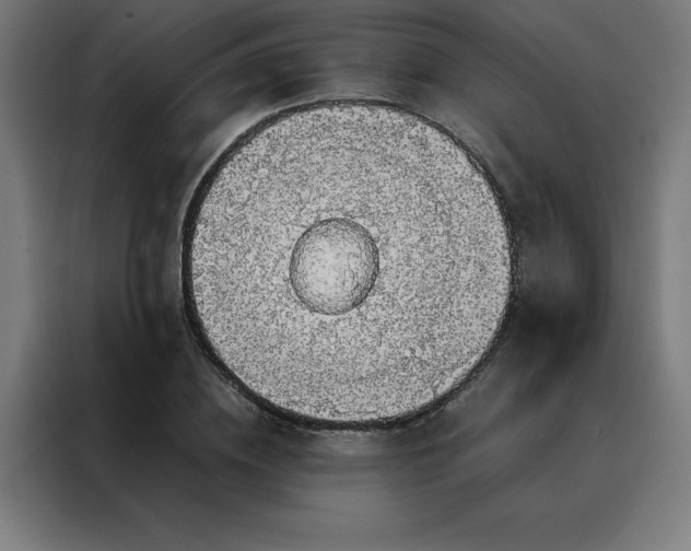 X0000088230836200705221823