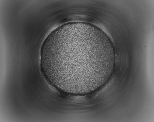 X0000088230837200705221823