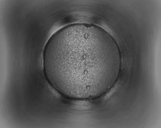 X0000088230838200705221823