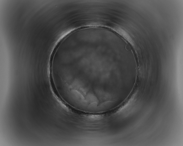 X0000088230839200705221823