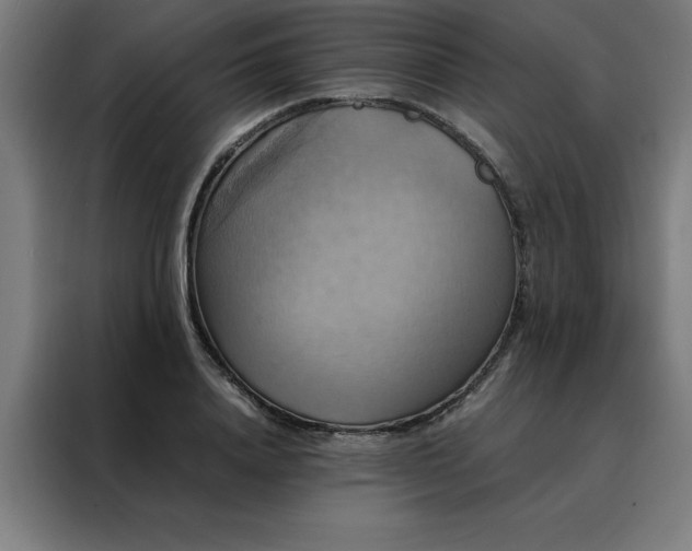 X0000088230840200705221823