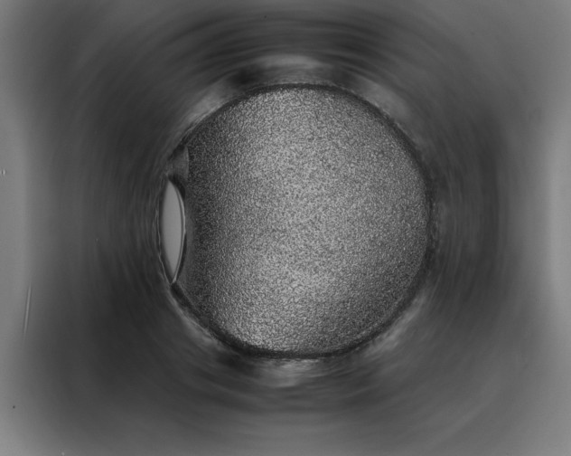 X0000088230841200705221823