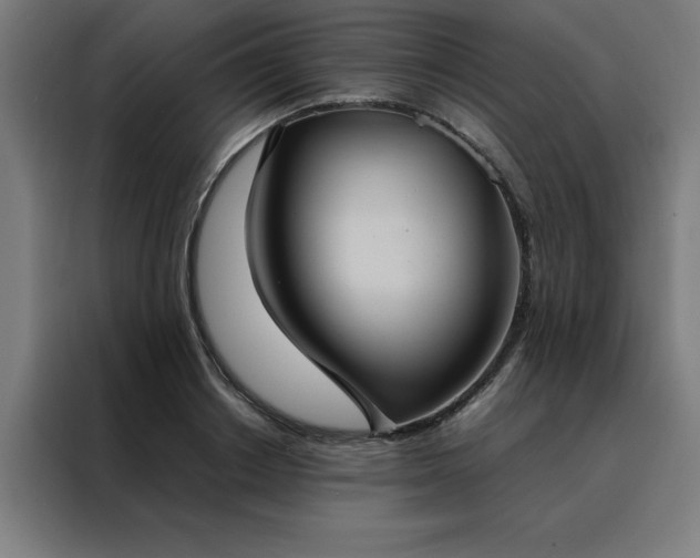 X0000088230842200705221823